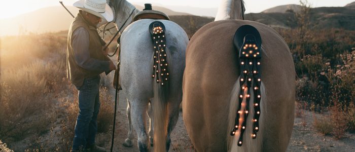 TAIL_LIGHTS_DSC07181