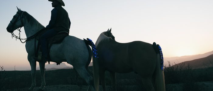 TAIL_LIGHTS_DSC07345