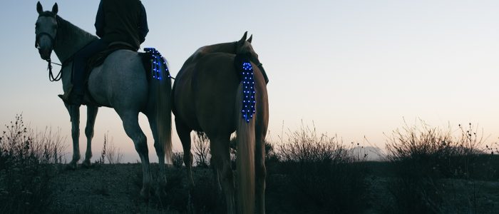 TAIL_LIGHTS_DSC07361