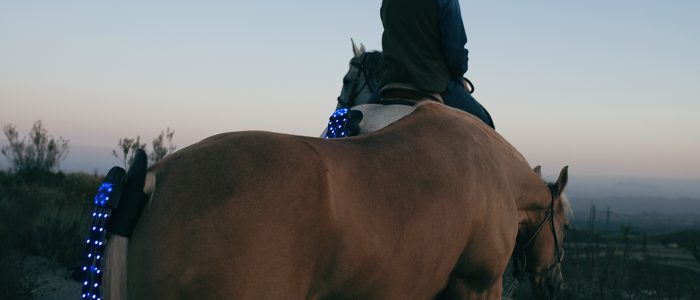 TAIL_LIGHTS_DSC07363