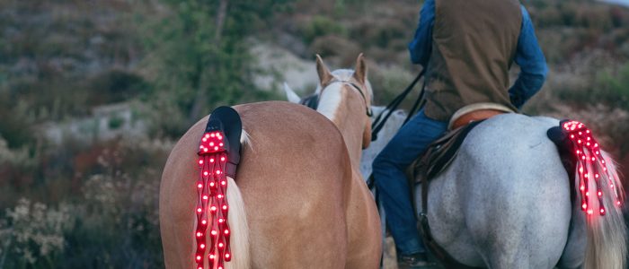 TAIL_LIGHTS_DSC07415