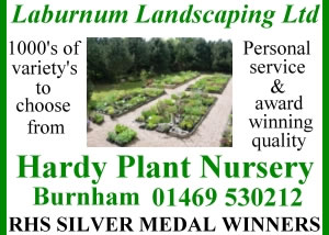 Advertising Observations From My Hotel Room